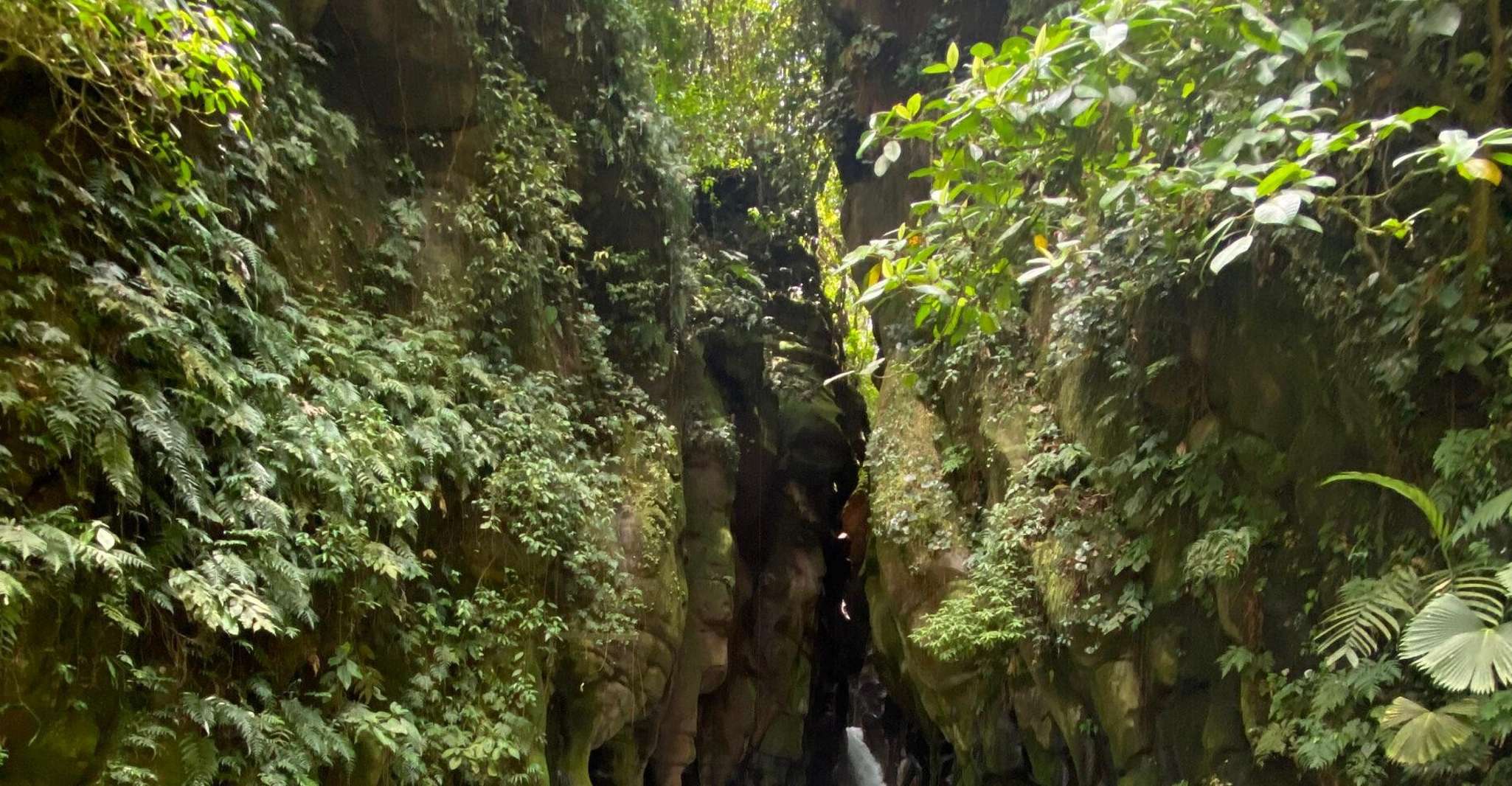 El Santuario Waterfall Hike - Housity