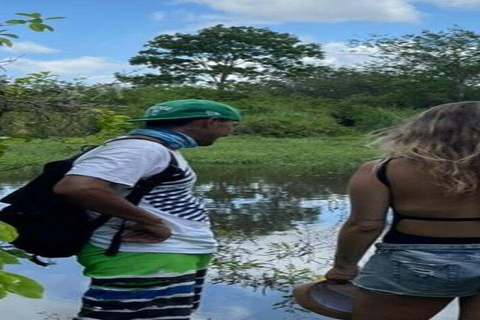 Santa Cruz: Giant Tortoise Watching and Lava Tunnels Tour