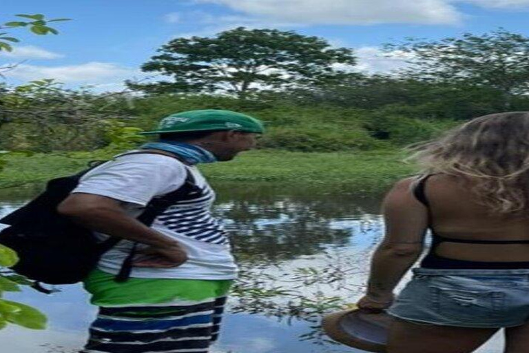 Santa Cruz: Giant Tortoise Watching and Lava Tunnels Tour