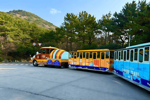 Per i passeggeri delle crociere al porto di Busan : Tour essenziale di Busan