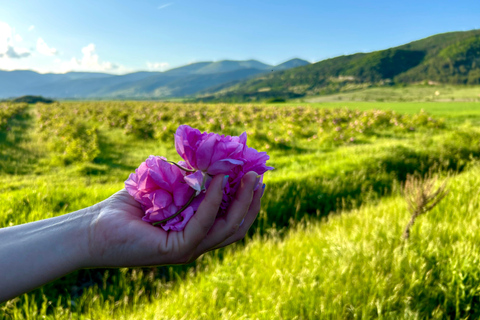 Sofia:The Highlights of Bulgaria - Rose Valley and Buzludzha