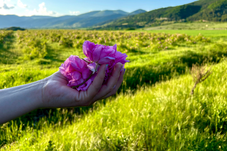 Sofia:The Highlights of Bulgaria - Rose Valley and Buzludzha