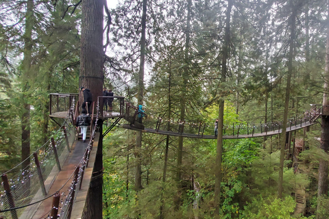 Prywatna wycieczka Stanley Pak-Capilano Susp Bridge &amp; Grouse MountPrywatna wycieczka po mieście Vancouver