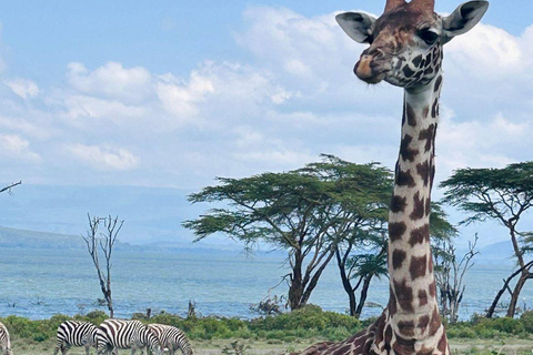 From Nairobi: Lake Naivasha, & Crescent Island Tour