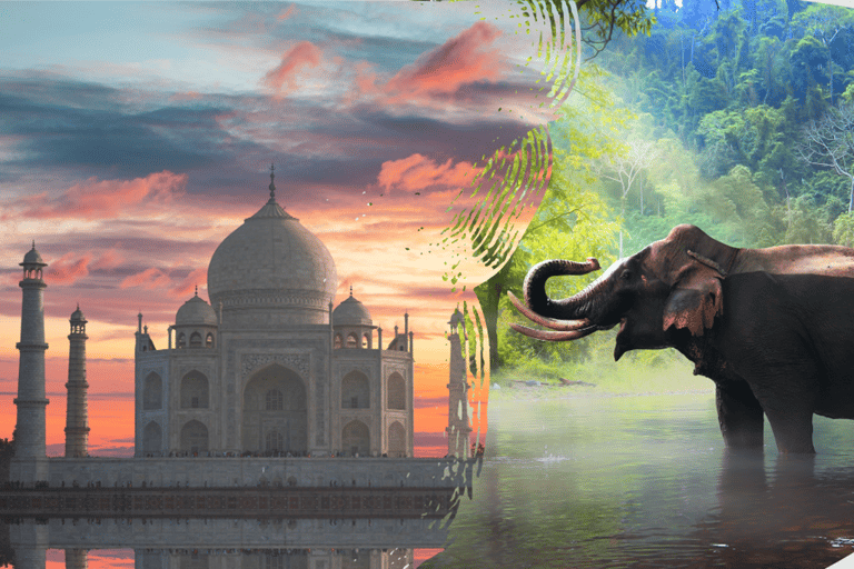 From Delhi: Taj Mahal Sunrise Tour with Elephant Conserving Tour With Car + Guide