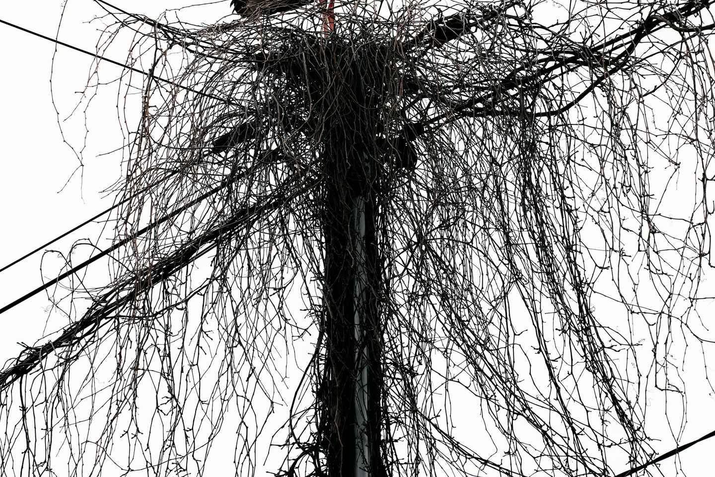 ストラスブール発 コルマール・リクヴィール・エギスハイム日帰りツアー