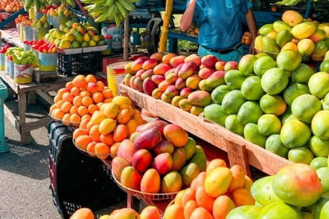 Puerto Plata: Buggy Adventure in the Countryside and Stop at the Beach