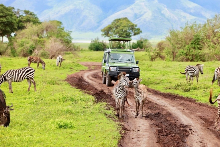 4Days Serengeti and Ngorongoro Crater - 4x4 L.Cruiser Jeep