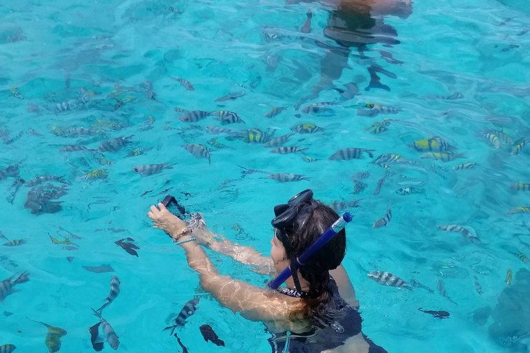 Zanzibar: mergulho com snorkel e passeio com golfinhos em Mnemba