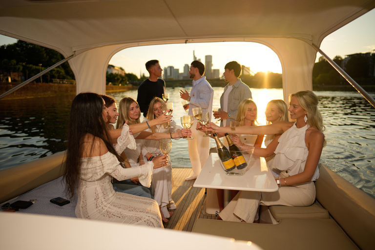 Frankfurt am Main: Private boat tour for up to 10 guests with skyline view