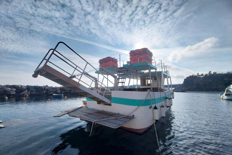 Procida : Excursion en bateau privé avec vue sur la mer et plongée en apnéeProcida Vue sur la mer