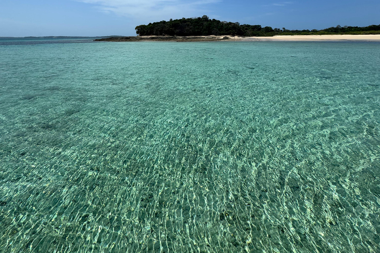 Panama City: Full Day in the Pearl Archipelago