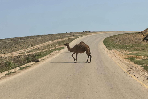 Salalah: Wadi Darbat, ,Caverna Teeq - Excursão às árvores Baobou