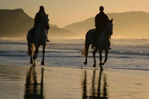 Horseback Riding Tours on the beach