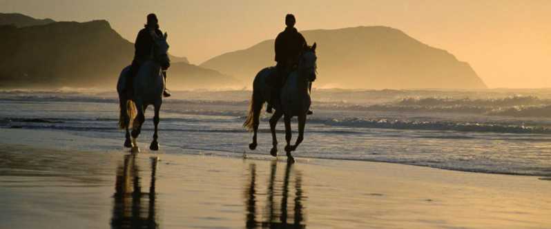 Horseback Riding Tours on the beach