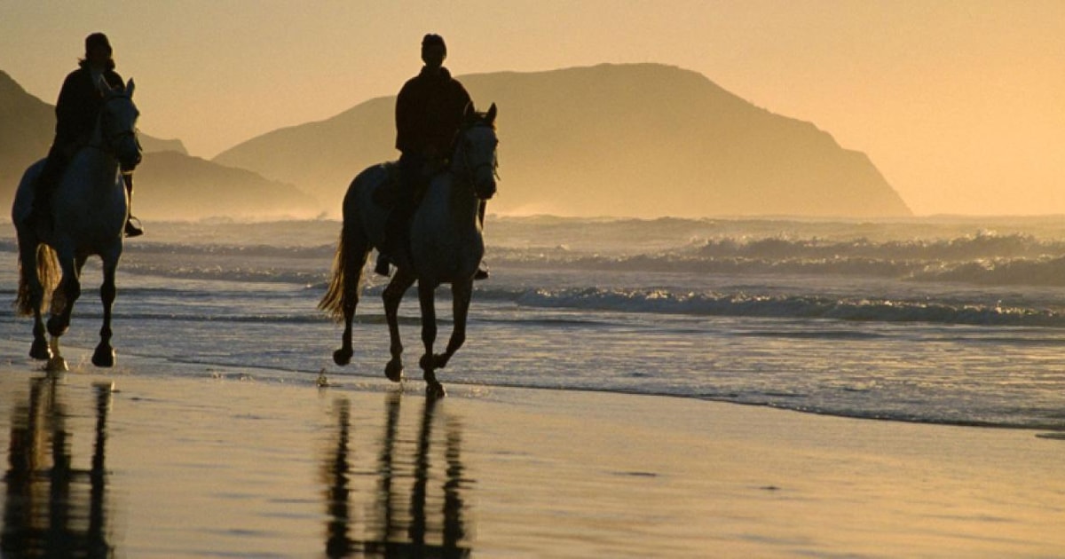 Horseback Riding Tours on the beach | GetYourGuide