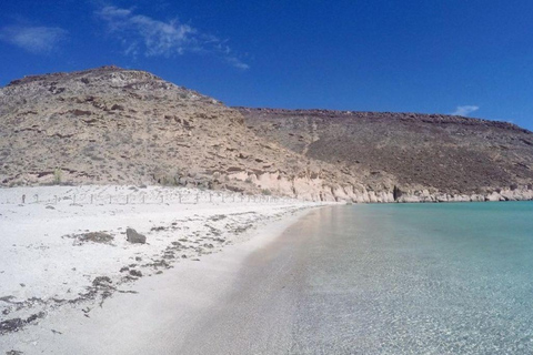 La Paz: Espíritu Santo Island Snorkeling Tour with Lunch