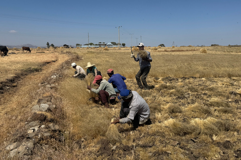 Addis Ababa: Gondar, Gorgora, and Bahir Dar 6-Day Tour