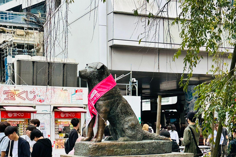 Tokyo: Private Tailored Tour with a Local Guide (2 hours) Tokyo: Private Tailored Tour with a Local Guide