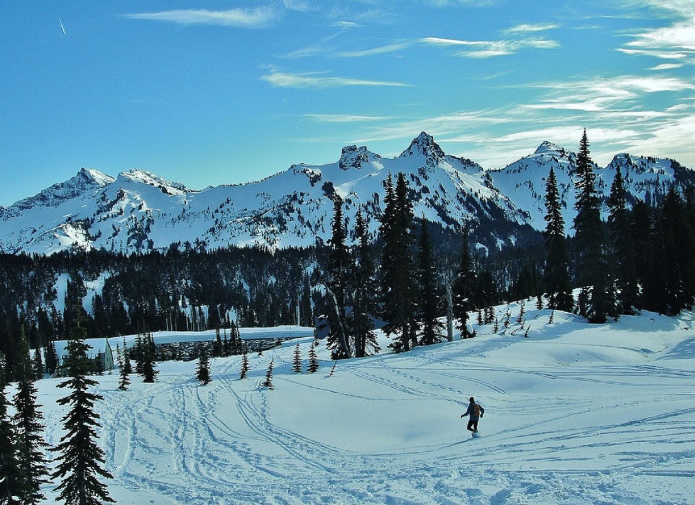 Seattle: Mount Rainier Park All-Inclusive tur med en lille gruppe