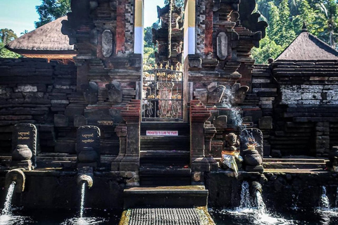 Bali: Ubud Full-Day Cultural and Nature Tour