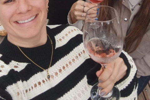 Colonia del Sacramento: Sightseeing Walking Tour & Traditional Tannat Wine Tasting