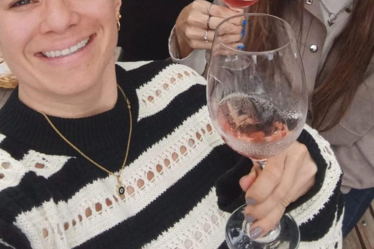 Colonia del Sacramento: Sightseeing Walking Tour & Traditional Tannat Wine Tasting