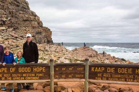 Cape Town: Cape of Good Hope and Boulders Beach Private Tour