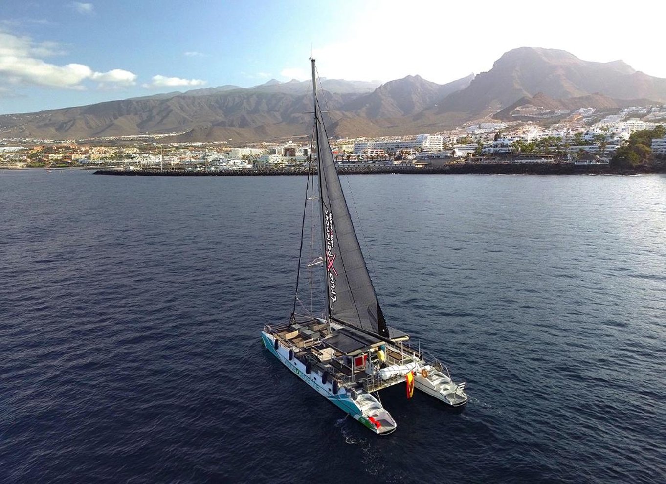 Costa Adeje: Øko-cruise med hvaler og delfiner med snacks og drikkevarer