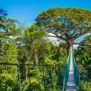 Von Puerto Maldonado aus: Seilrutsche, Canopy, Kajakfahren