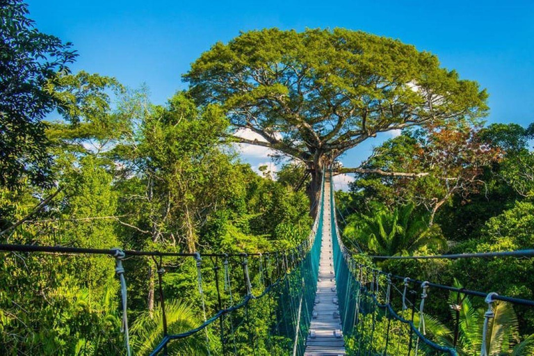 Von Puerto Maldonado aus: Seilrutsche, Canopy, Kajakfahren