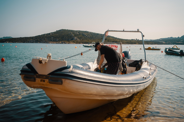 La Maddalena &amp; Lavezzi : plongée sous-marine pour les plongeurs certifiés.