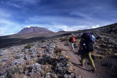 Moshi:Excursión de un día al Monte Kilimanjaro con la excursión a la cabaña de Mandara