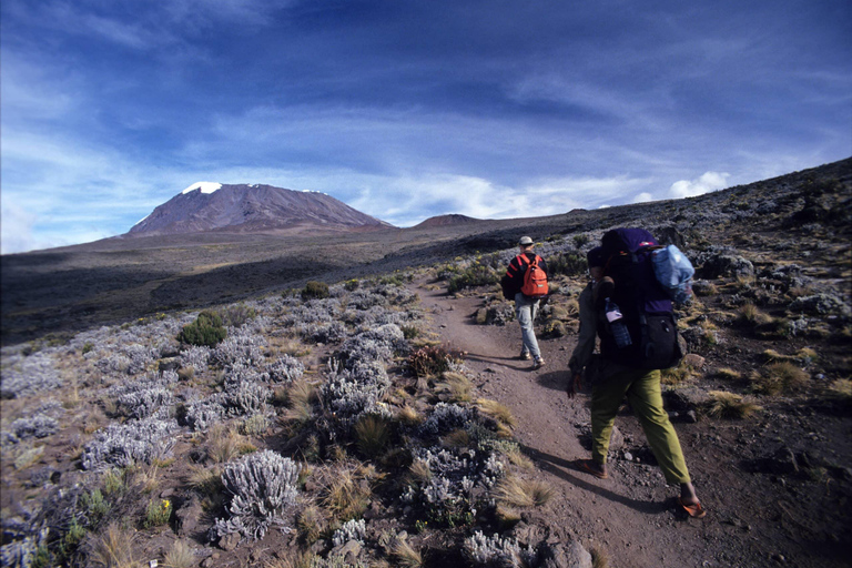 Moshi:Excursión de un día al Monte Kilimanjaro con la excursión a la cabaña de Mandara