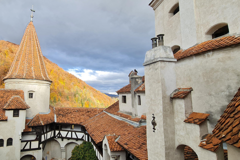 Brasov: Peles Castle, Bran Castle & Belvedere Viewpoint