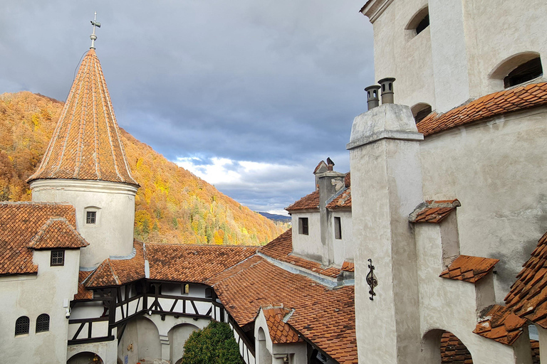 Brasov: Peles Castle, Bran Castle & Belvedere Viewpoint