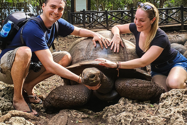 Zanzibar: Stone Town, Spice Farm, and Prison Island Tour