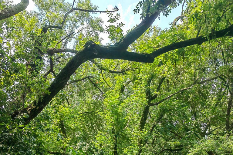 Hangzhou Jiuxi, Shililangdang & Yunqi Day Hiking Tour