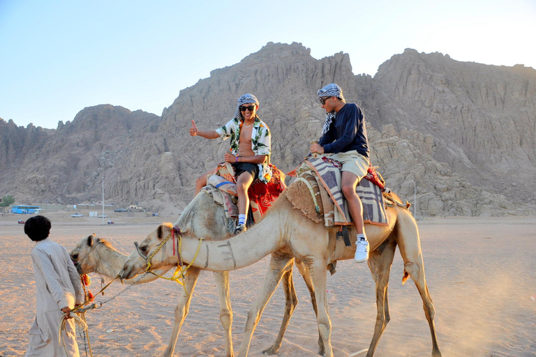 Sharm El Sheikh: 5-in-1 Quad, Camel, Dinner & Stargazing