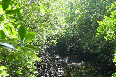 Zanzibar: Jozani Forest,saalam cave and Mtende beach
