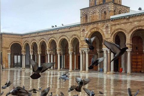 Tunis: Group guided visit, Carthage, Sidi Bou Said + Pickup from the HARBOR/HAM Pick-up from Hammamet/Nabeul/Yassmine Hammamet