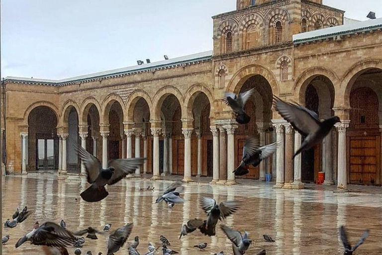 Tunis: Group guided visit, Carthage, Sidi Bou Said + Pickup from the HARBOR/HAM Pick-up from Hammamet/Nabeul/Yassmine Hammamet