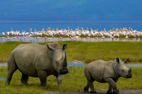 4 jours de safari en groupe dans un véhicule de safari sans frais d'entrée dans les parcs4 jours de safari en groupe dans un safari van Sans frais de parc