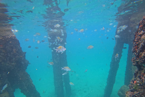 Punta Cana: Saona Island Tour with Lunch and Drinks