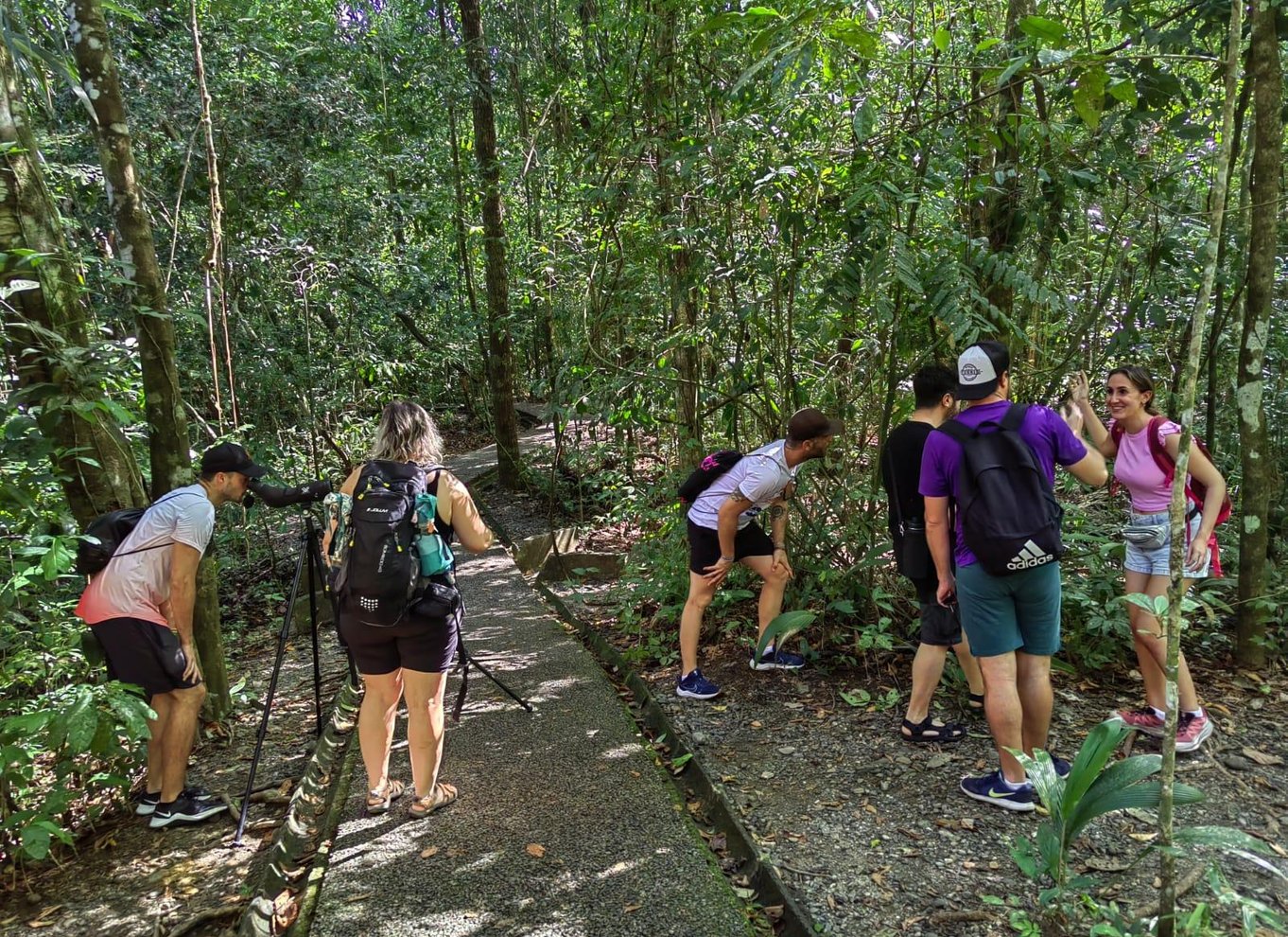 Manuel Antonio Nationalpark: Guidet tur med ENTRÉ INKLUDERET