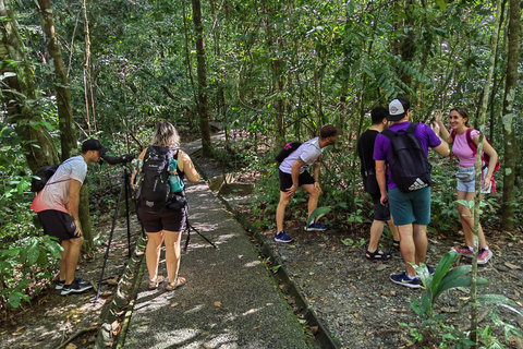 Manuel Antonio Park: Guidad tur för att se djur och strandtidPrivat tur