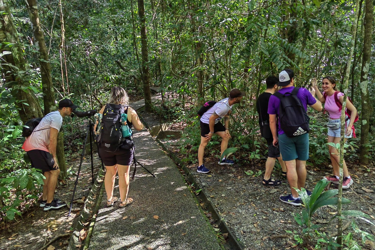 Manuel Antonio Park: Guidad tur för att se djur och strandtidPrivat tur