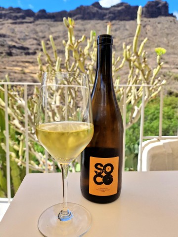 Visit Gran Canaria tasting wine & local cheese in Canary Islands