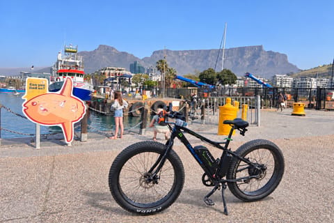 Cape Town: e-Bike City Tour with Hotel Pick Up & Drop off