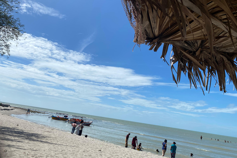 Sri Lanka: 12-Day Cultural Journey for Seniors